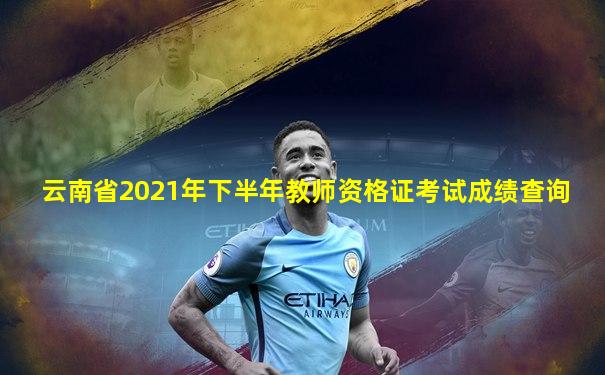 云南省2021年下半年教师资格证考试成绩查询