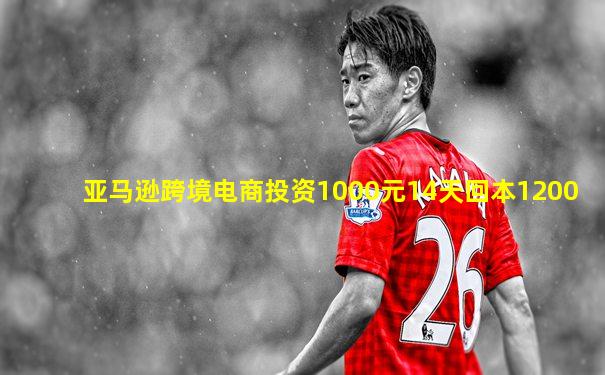 亚马逊跨境电商投资1000元14天回本1200