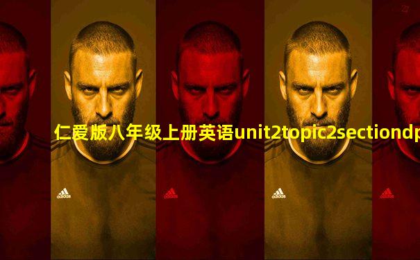 仁爱版八年级上册英语unit2topic2sectiondppt