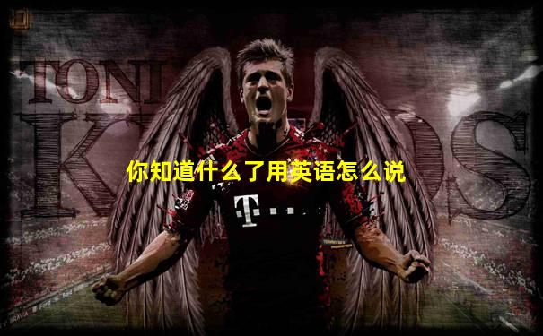 你知道什么了用英语怎么说