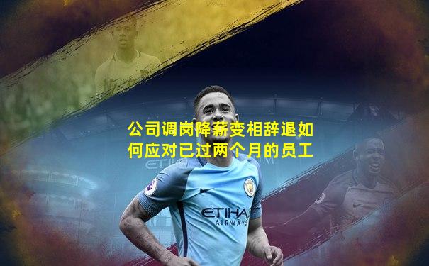 公司调岗降薪变相辞退如何应对已过两个月的员工