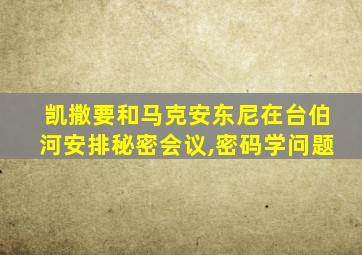 凯撒要和马克安东尼在台伯河安排秘密会议,密码学问题