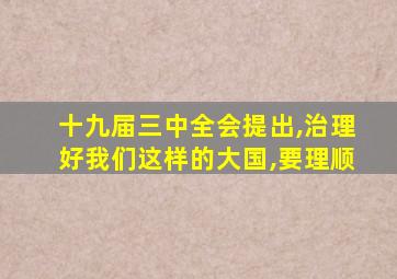 十九届三中全会提出,治理好我们这样的大国,要理顺