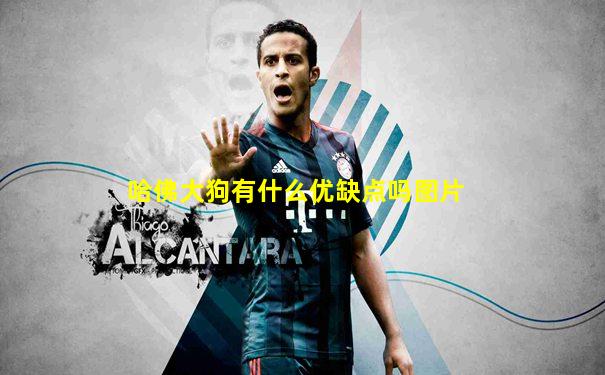 哈佛大狗有什么优缺点吗图片