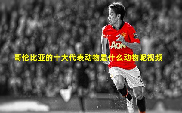 哥伦比亚的十大代表动物是什么动物呢视频