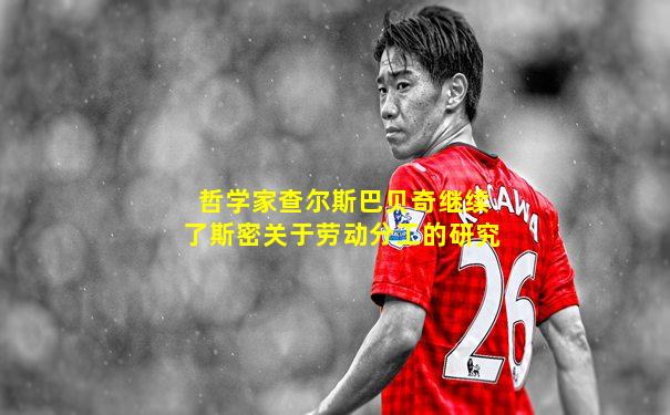 哲学家查尔斯巴贝奇继续了斯密关于劳动分工的研究