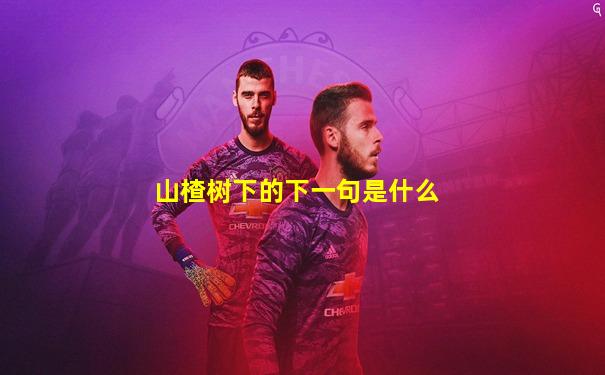 山楂树下的下一句是什么