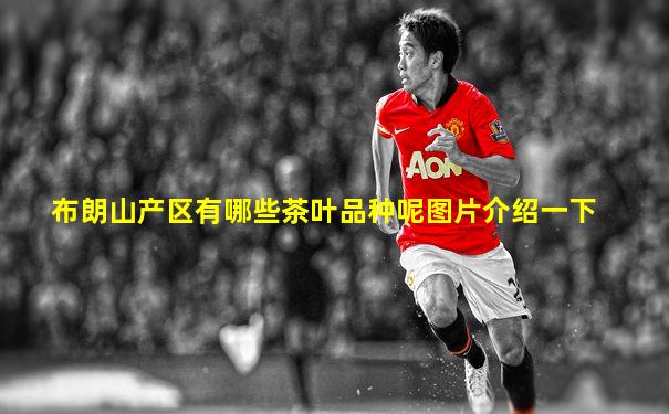 布朗山产区有哪些茶叶品种呢图片介绍一下