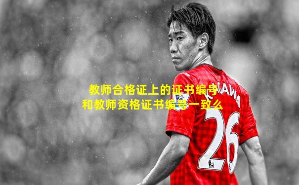 教师合格证上的证书编号和教师资格证书编号一致么