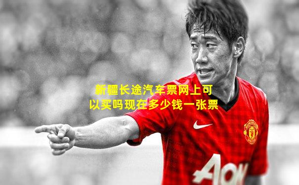 新疆长途汽车票网上可以买吗现在多少钱一张票