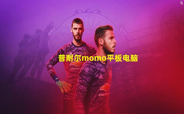 普耐尔momo平板电脑