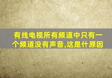有线电视所有频道中只有一个频道没有声音,这是什原因