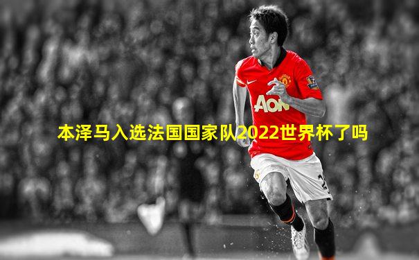 本泽马入选法国国家队2022世界杯了吗