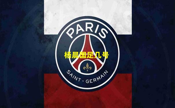 杨晨国足几号