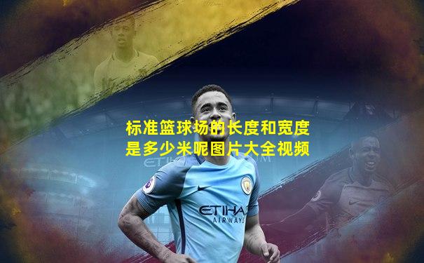标准篮球场的长度和宽度是多少米呢图片大全视频