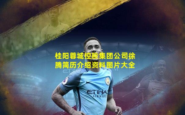 桂阳蓉城控股集团公司徐腾简历介绍资料图片大全