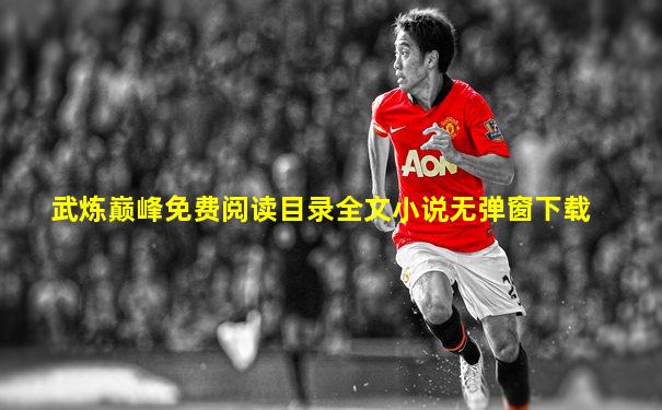 武炼巅峰免费阅读目录全文小说无弹窗下载