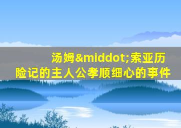 汤姆·索亚历险记的主人公孝顺细心的事件