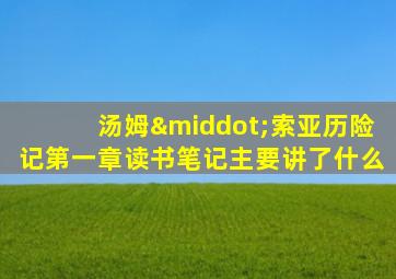 汤姆·索亚历险记第一章读书笔记主要讲了什么