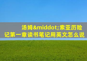 汤姆·索亚历险记第一章读书笔记用英文怎么说