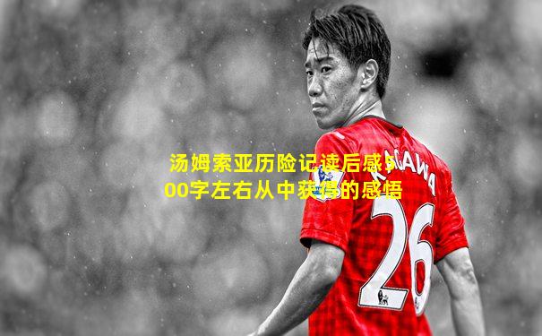 汤姆索亚历险记读后感500字左右从中获得的感悟