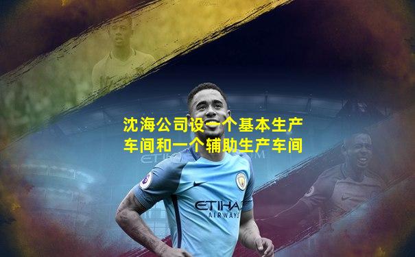 沈海公司设一个基本生产车间和一个辅助生产车间