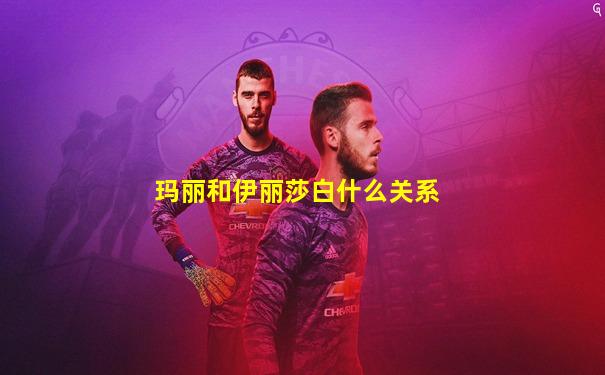 玛丽和伊丽莎白什么关系