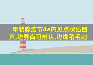 甲状腺结节4a内见点状强回声,边界尚可辨认,边缘稍毛刺