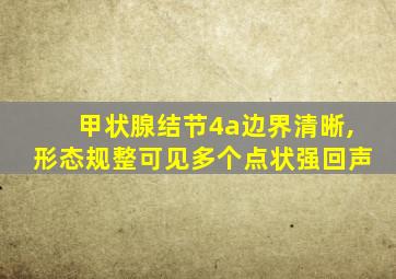 甲状腺结节4a边界清晰,形态规整可见多个点状强回声