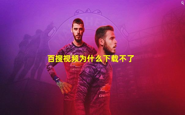 百搜视频为什么下载不了