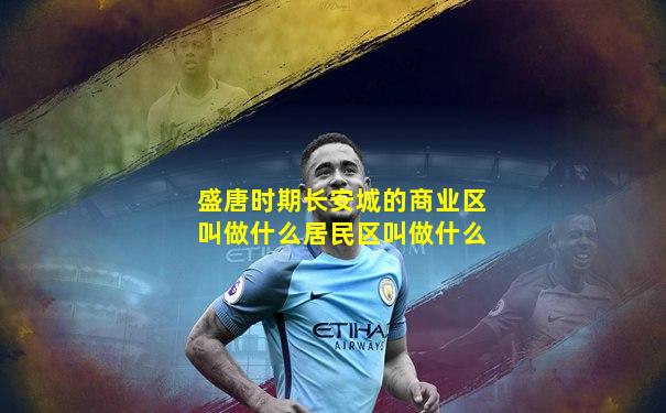 盛唐时期长安城的商业区叫做什么居民区叫做什么