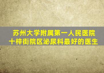 苏州大学附属第一人民医院十梓街院区泌尿科最好的医生