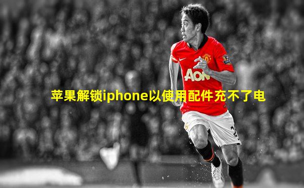 苹果解锁iphone以使用配件充不了电