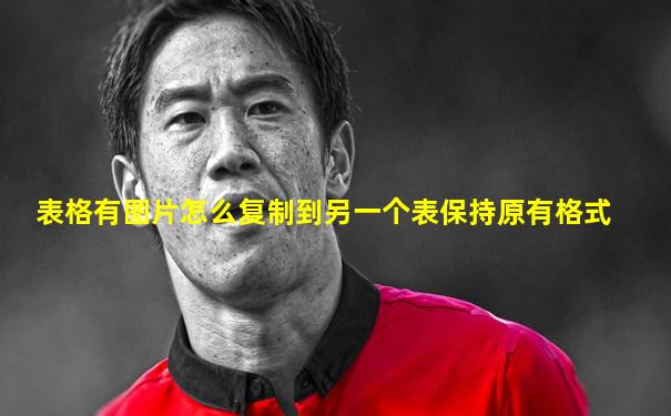 表格有图片怎么复制到另一个表保持原有格式