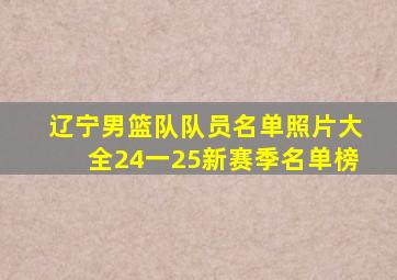 辽宁男篮队队员名单照片大全24一25新赛季名单榜