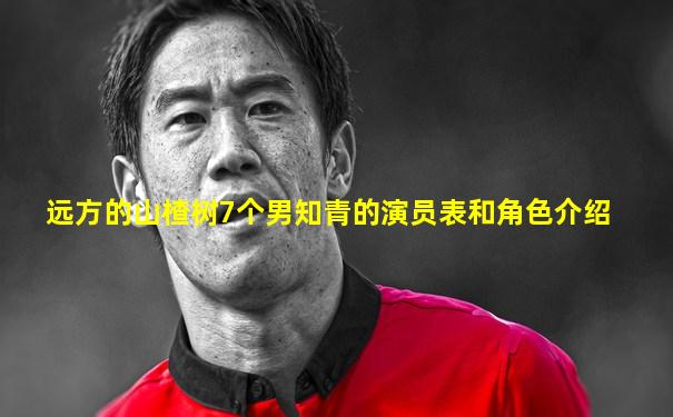 远方的山楂树7个男知青的演员表和角色介绍